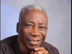 Nigeria at 66 Still Struggling like a Child . …..Chukwunyere